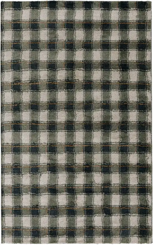 Central Oriental Adley Roscoe Rug in Green - 5 x 8