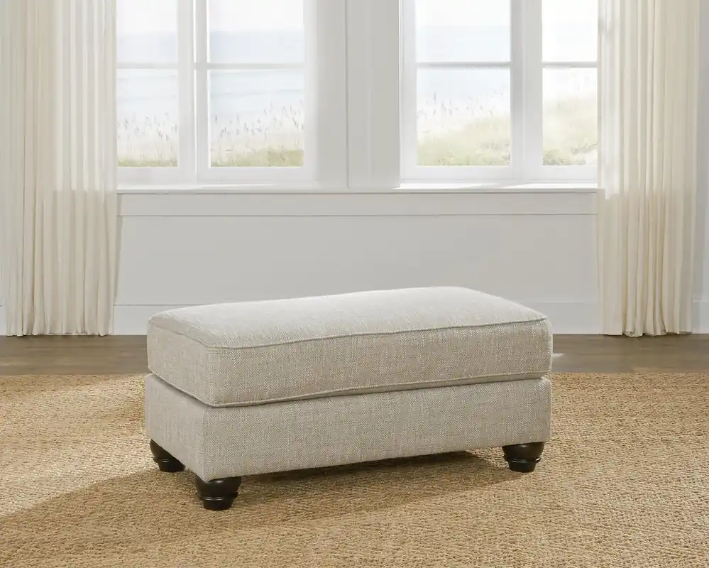 Ashley Asanti Ottoman in Fog