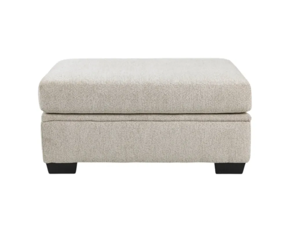 Washington Furniture Bailey Storage Ottoman in Cream