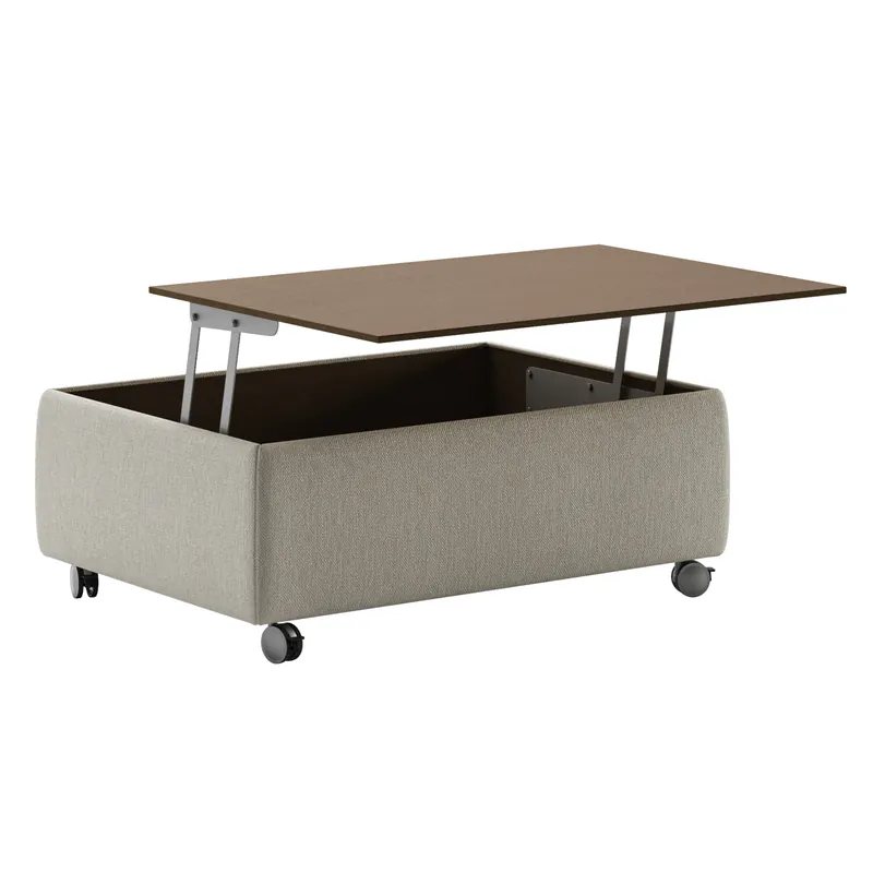 Functional Coffee Table - Luonto
