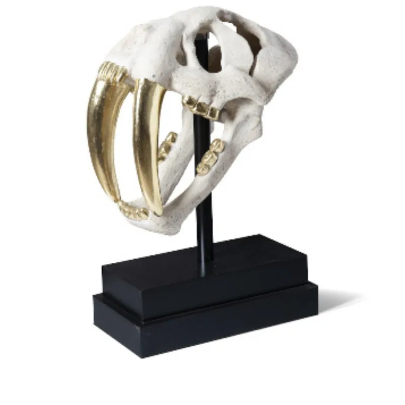 Saber Tooth Tiger Skull - Phillips Collection