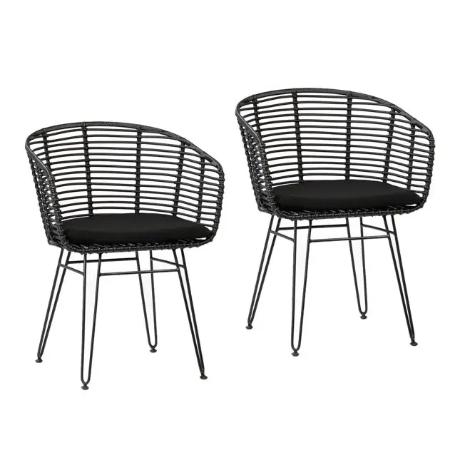 Ishani Outdoor Dining Chair Set Of 2 - Dovetail