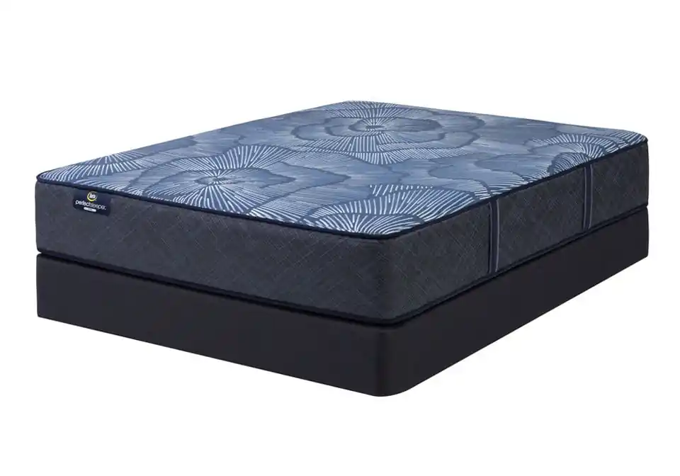 Serta® Perfect Sleeper Euphoric Nights Plush Twin Mattress Set - mattresses